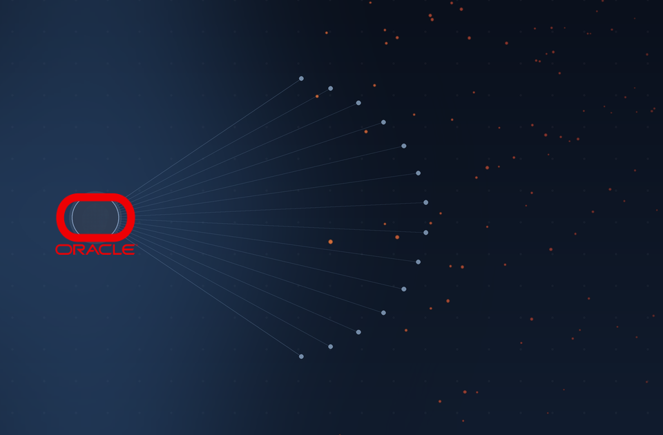 Oracle Fusion Licensing risk